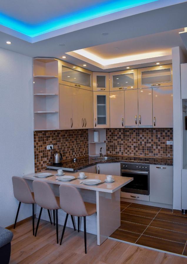 Blagojevic Apartment Banja Koviljača